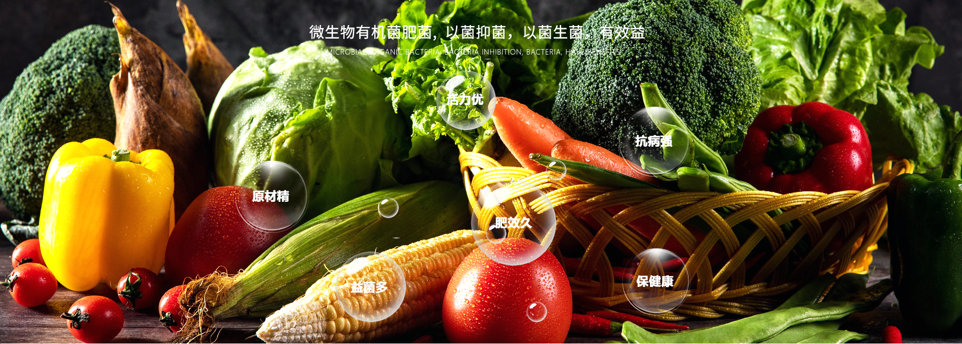 大量元素水溶肥
