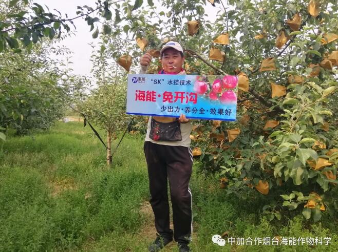 海能底肥免开沟 用效果说话！