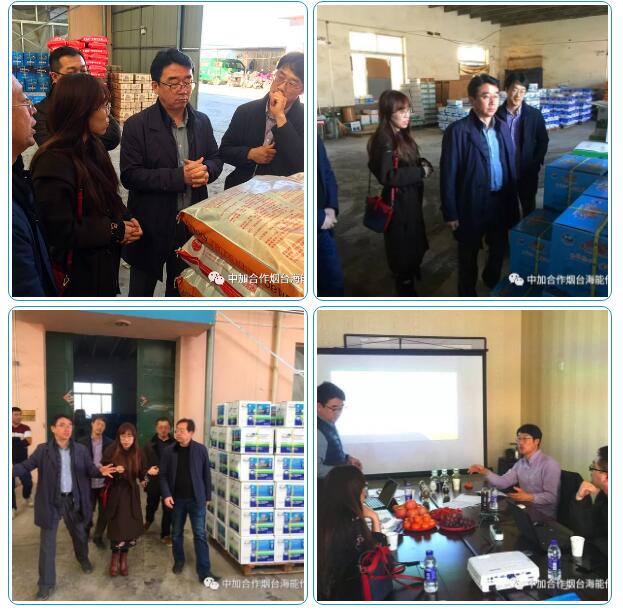 海能出口品质，专注服务农业 