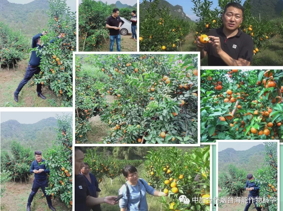 海帝拉克走进了雨中的广西柳州