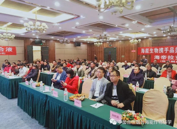 海帝拉克走进了雨中的广西柳州