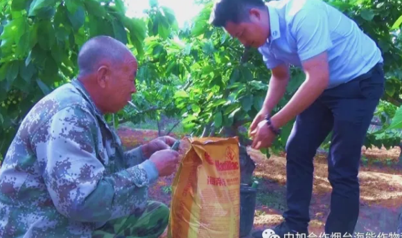 用实力证明一切-----众多种植户都在说这样的一句话