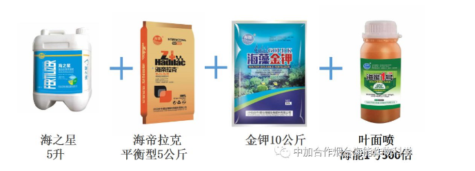 海能生物高品质葡萄全程“傻瓜式”施肥方案