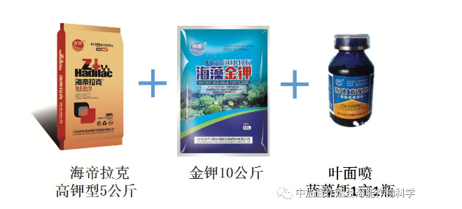 海能生物高品质葡萄全程“傻瓜式”施肥方案