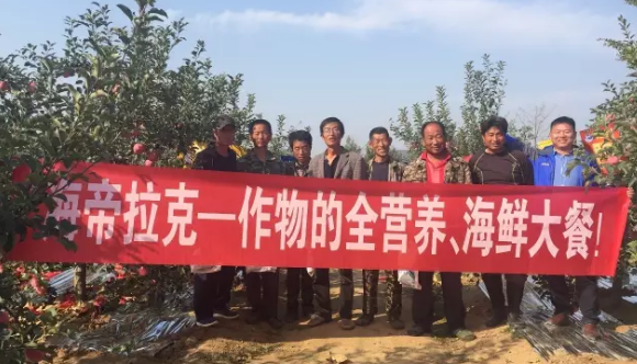 苹果树12月管理技术要点！抓紧时间看