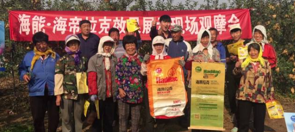 苹果树12月管理技术要点！抓紧时间看