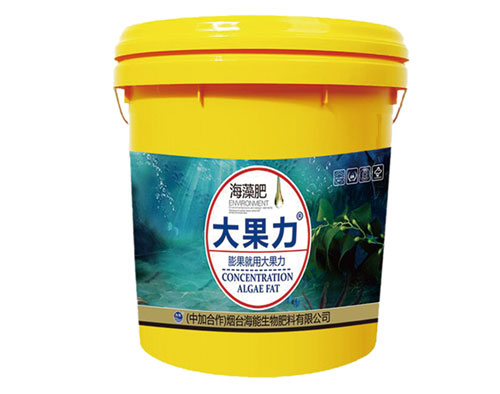 海藻桶装膨果水溶肥精华专注膨果