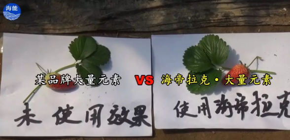 水肥一体化不止是节水、节肥！还有这功效！